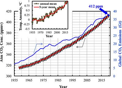 Carbon Capture From Flue Gas and the Atmosphere: A Perspective